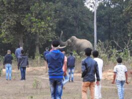 thebengalpost.in
