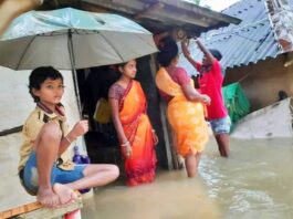 thebengalpost.net
