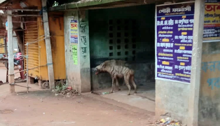 thebengalpost.net