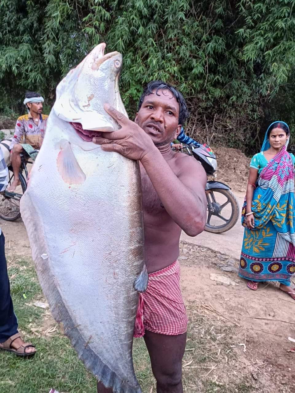 thebengalpost.net