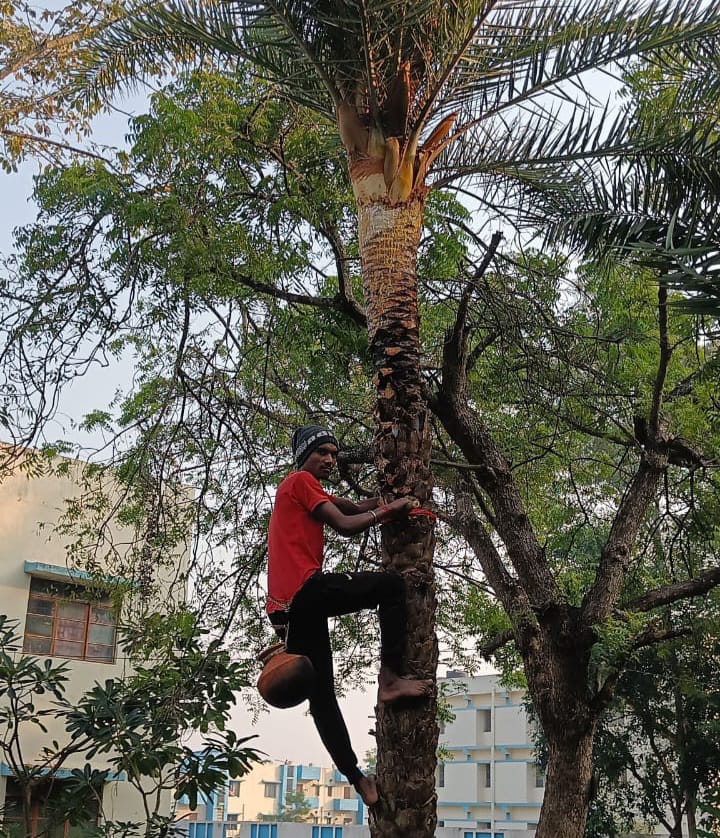 thebengalpost.net