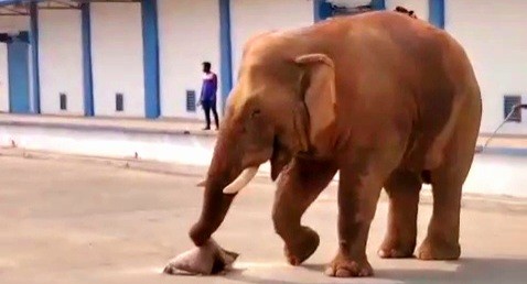 thebengalpost.net