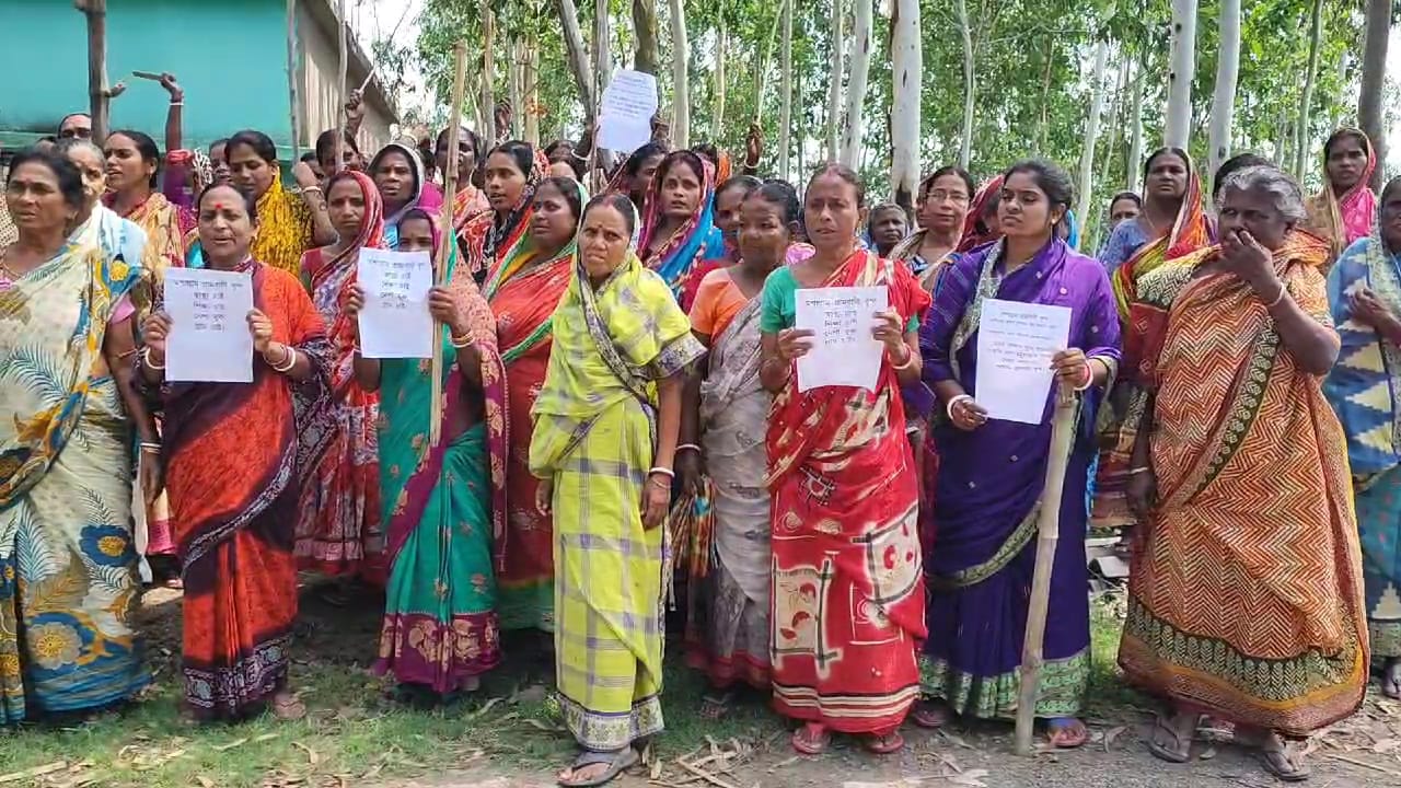thebengalpost.net