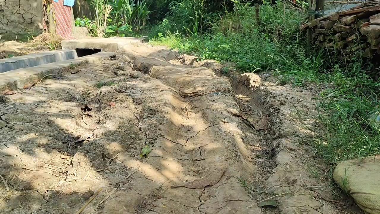 thebengalpost.net