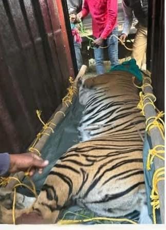 thebengalpost.net