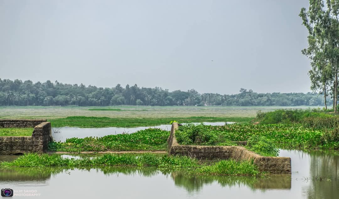 thebengalpost.net