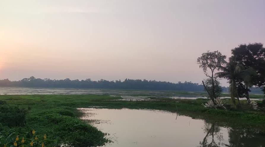 thebengalpost.net